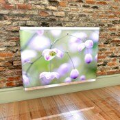 Lilac Meadow Rue radiator covers by Couture Cases