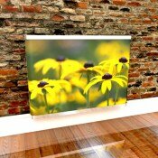 Rudbeckia Beautiful Yellow Flowers radiator cover